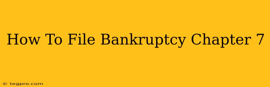 How To File Bankruptcy Chapter 7