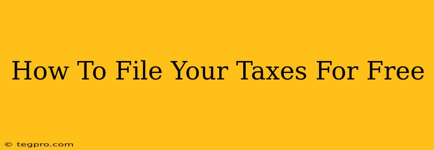 How To File Your Taxes For Free