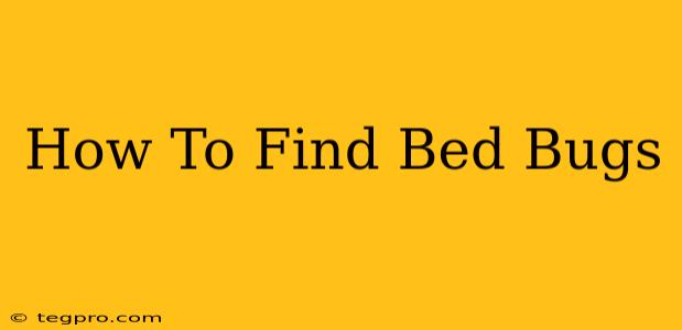 How To Find Bed Bugs