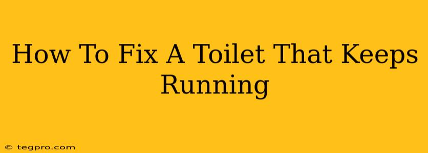 How To Fix A Toilet That Keeps Running