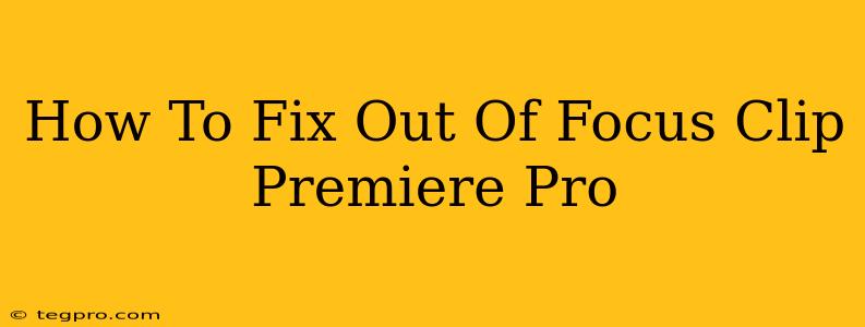 How To Fix Out Of Focus Clip Premiere Pro