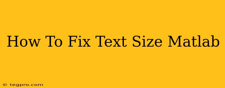 How To Fix Text Size Matlab