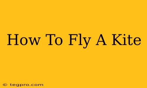 How To Fly A Kite