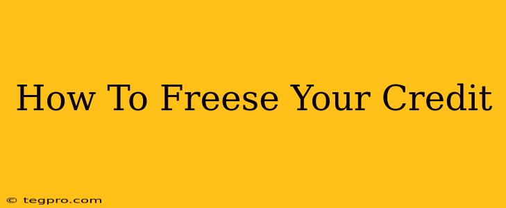 How To Freese Your Credit