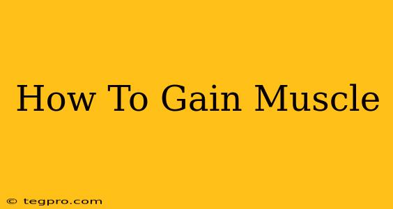 How To Gain Muscle