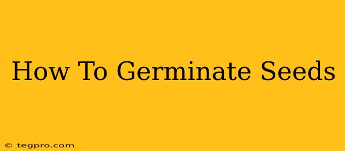 How To Germinate Seeds