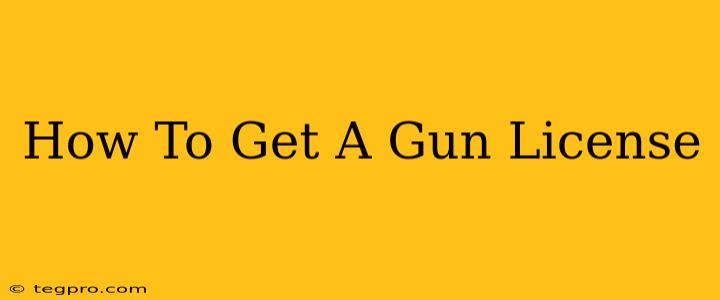 How To Get A Gun License