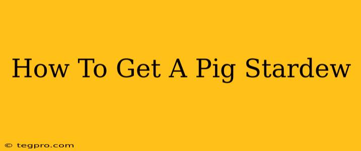 How To Get A Pig Stardew