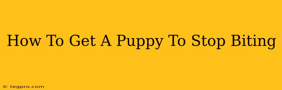 How To Get A Puppy To Stop Biting