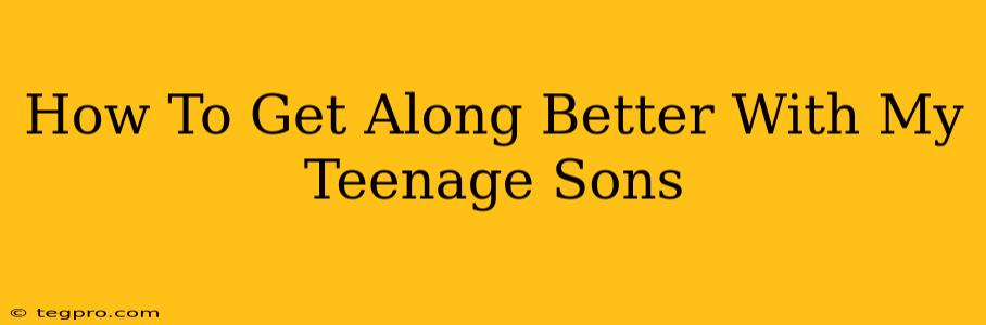 How To Get Along Better With My Teenage Sons