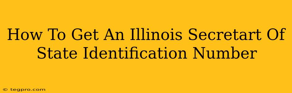 How To Get An Illinois Secretart Of State Identification Number