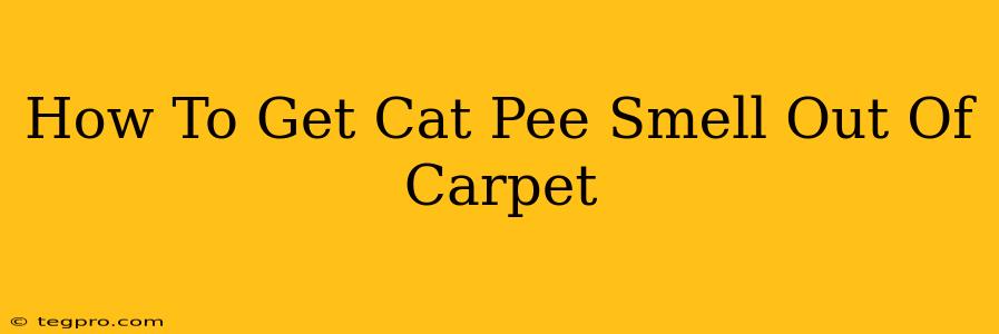 How To Get Cat Pee Smell Out Of Carpet