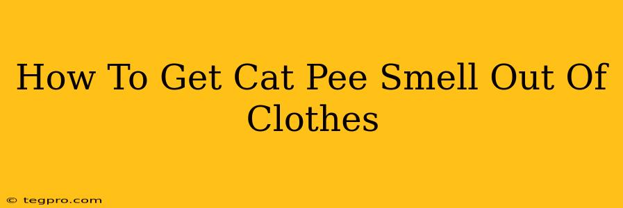 How To Get Cat Pee Smell Out Of Clothes