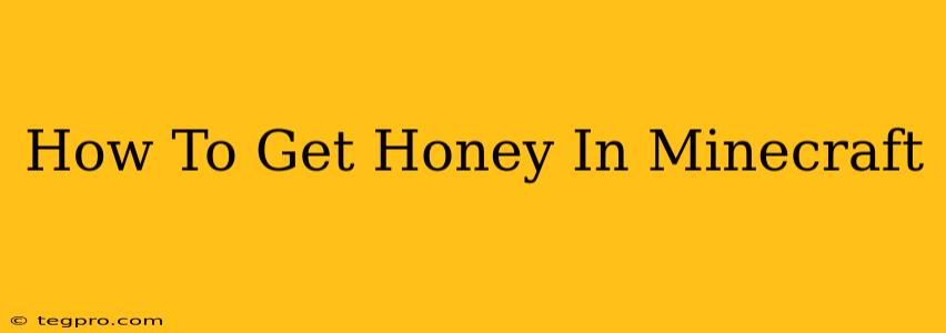 How To Get Honey In Minecraft