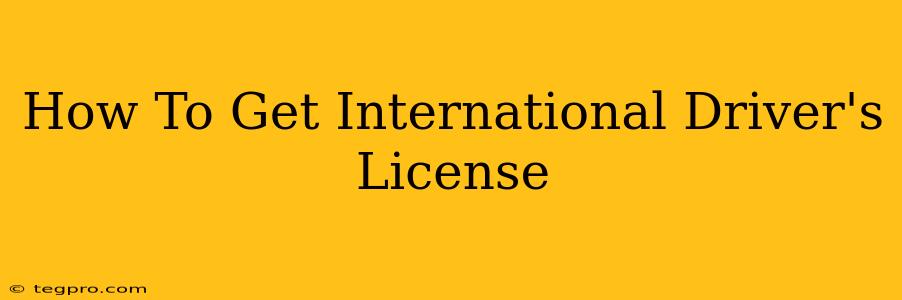 How To Get International Driver's License