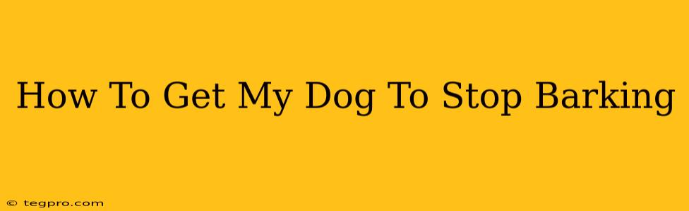 How To Get My Dog To Stop Barking