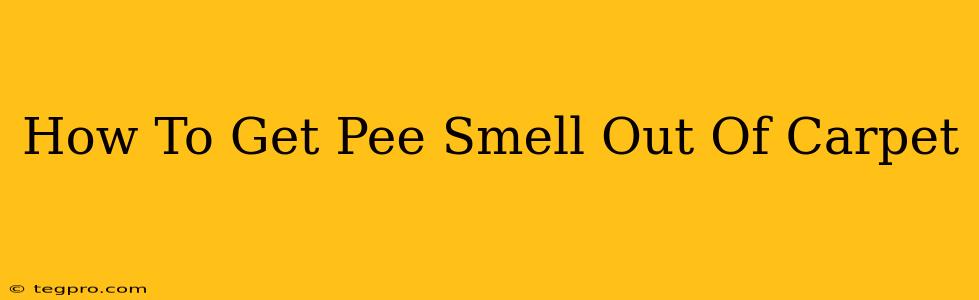 How To Get Pee Smell Out Of Carpet