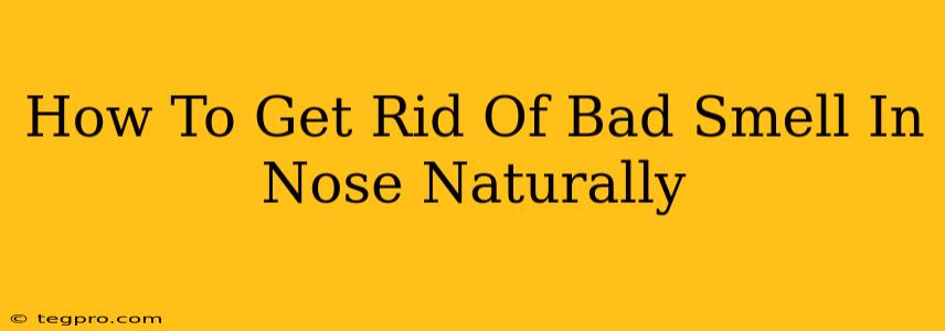 How To Get Rid Of Bad Smell In Nose Naturally