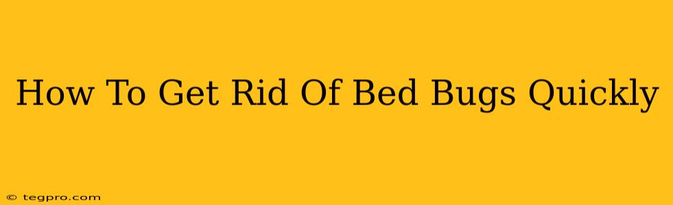 How To Get Rid Of Bed Bugs Quickly