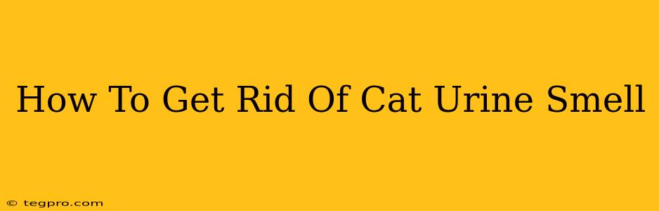 How To Get Rid Of Cat Urine Smell