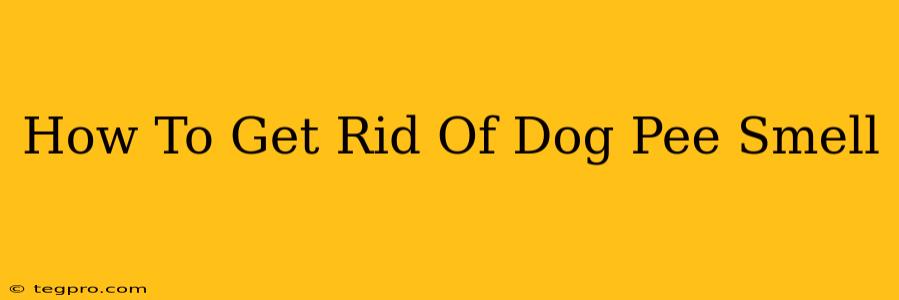 How To Get Rid Of Dog Pee Smell