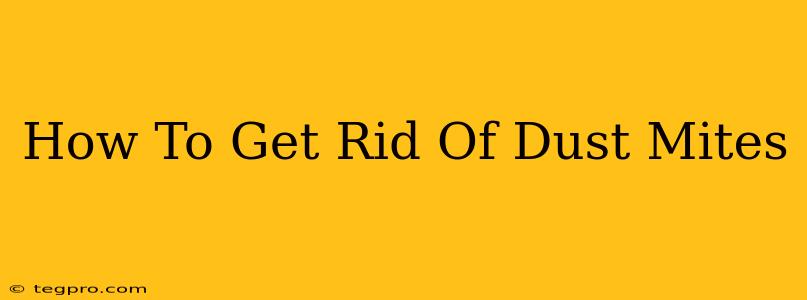 How To Get Rid Of Dust Mites