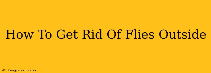 How To Get Rid Of Flies Outside