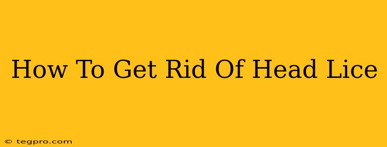 How To Get Rid Of Head Lice