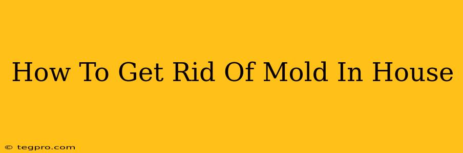 How To Get Rid Of Mold In House