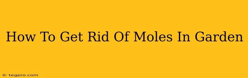 How To Get Rid Of Moles In Garden