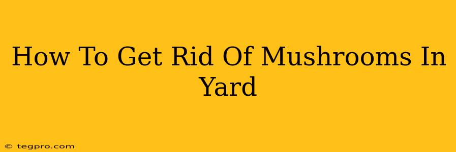 How To Get Rid Of Mushrooms In Yard