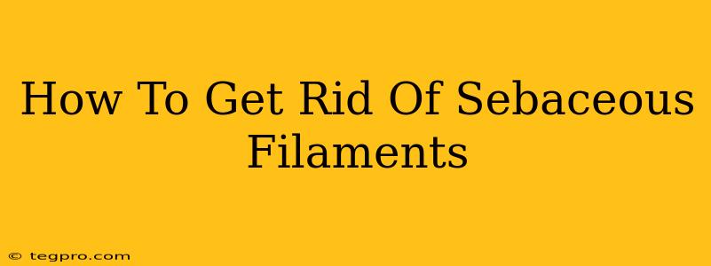 How To Get Rid Of Sebaceous Filaments