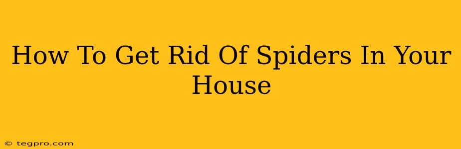 How To Get Rid Of Spiders In Your House