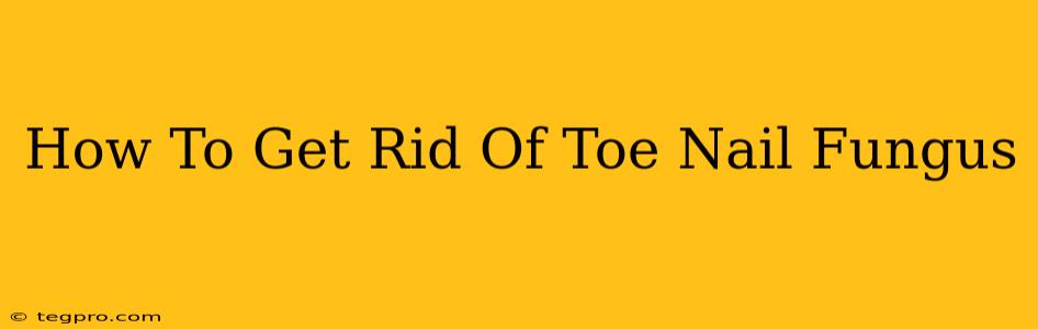 How To Get Rid Of Toe Nail Fungus