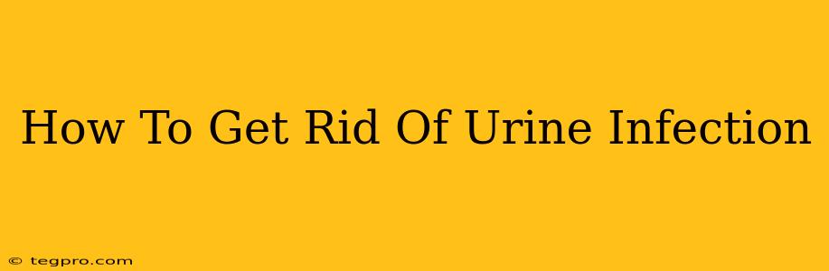 How To Get Rid Of Urine Infection