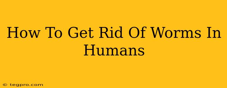 How To Get Rid Of Worms In Humans