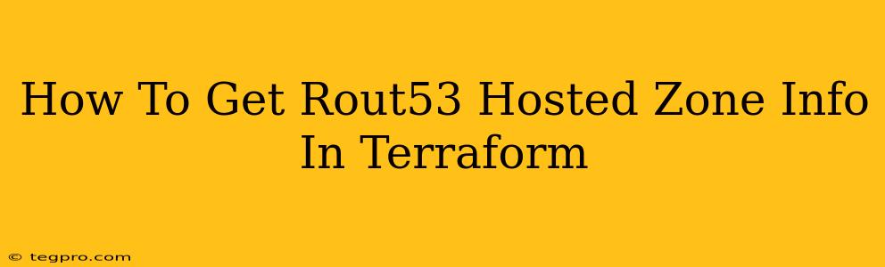 How To Get Rout53 Hosted Zone Info In Terraform