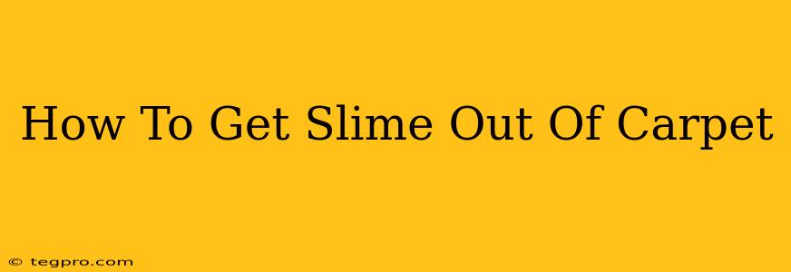 How To Get Slime Out Of Carpet