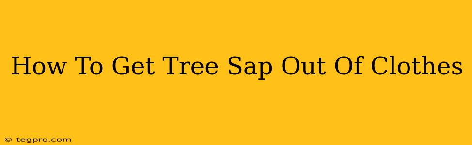 How To Get Tree Sap Out Of Clothes