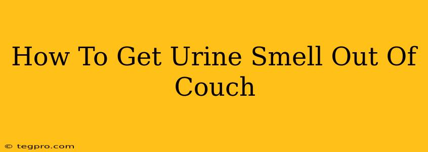 How To Get Urine Smell Out Of Couch