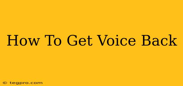 How To Get Voice Back