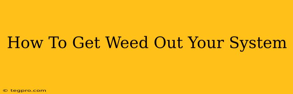 How To Get Weed Out Your System