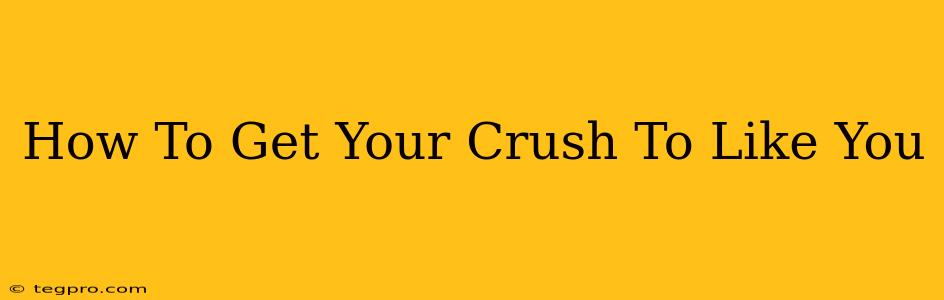 How To Get Your Crush To Like You