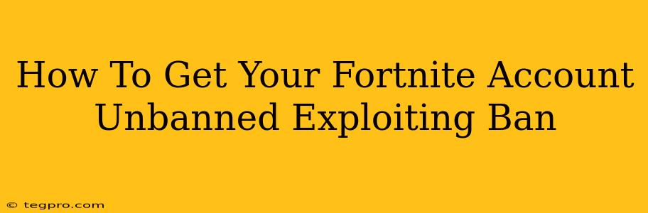 How To Get Your Fortnite Account Unbanned Exploiting Ban