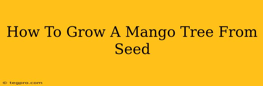 How To Grow A Mango Tree From Seed