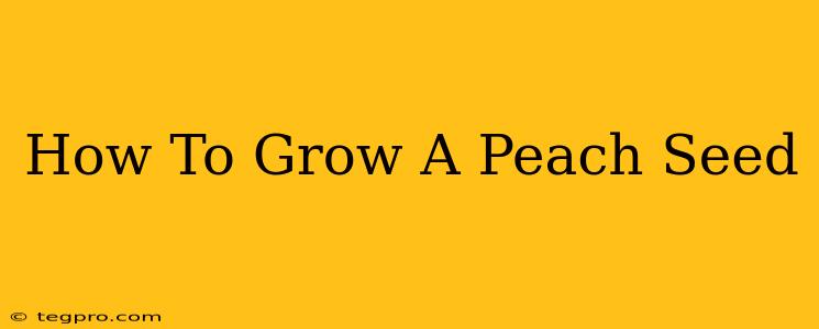 How To Grow A Peach Seed