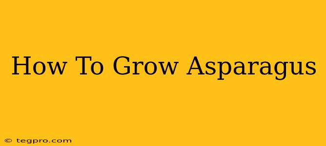 How To Grow Asparagus