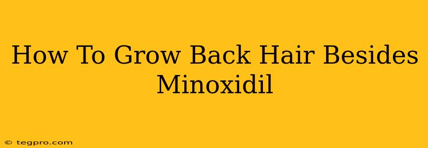 How To Grow Back Hair Besides Minoxidil