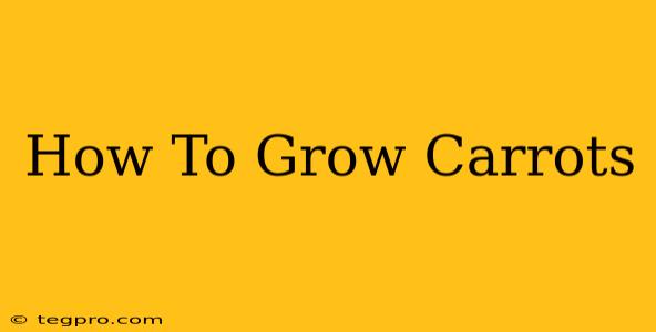 How To Grow Carrots