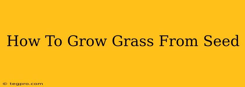 How To Grow Grass From Seed